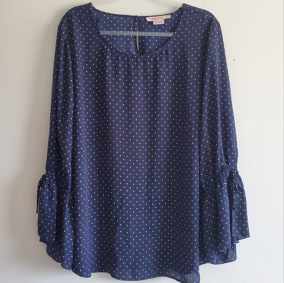 Blue Polka Dot Chiffon Top 2X